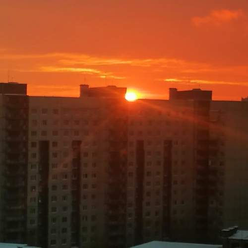 Photo #9940845
