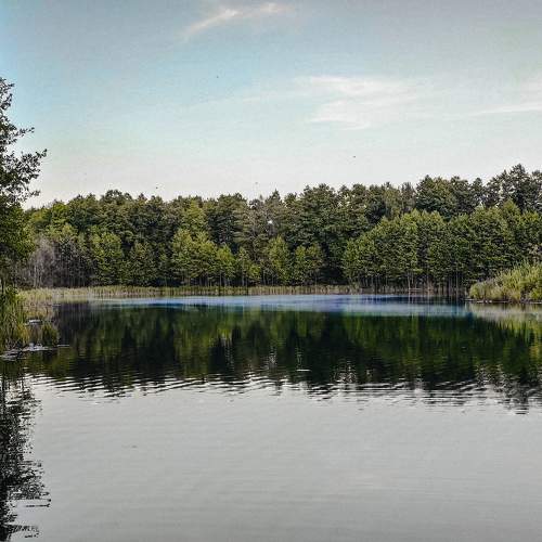 Photo #9940896
