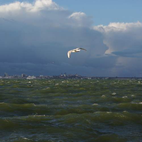 Photo #9941292