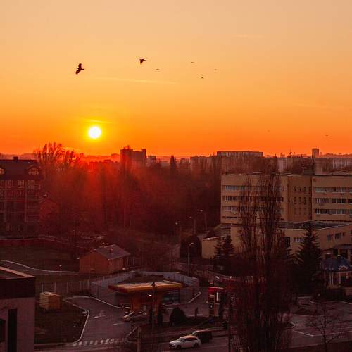 Photo #9941563