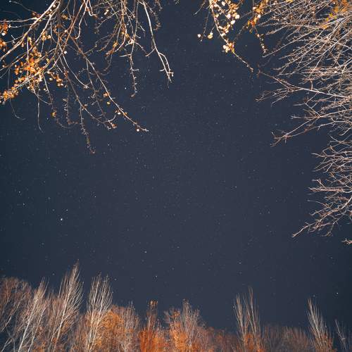Photo #9941706