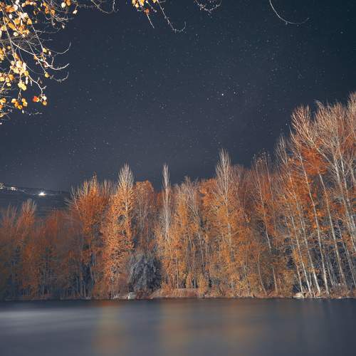 Photo #9941715