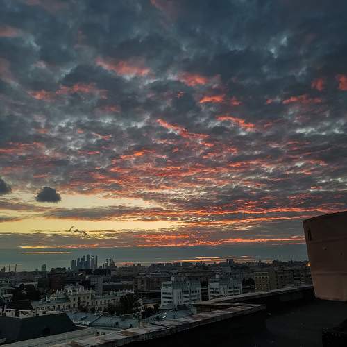 Photo #9941847