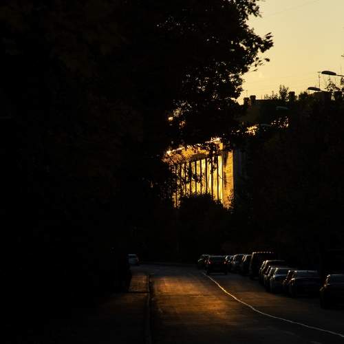 Photo #9942218