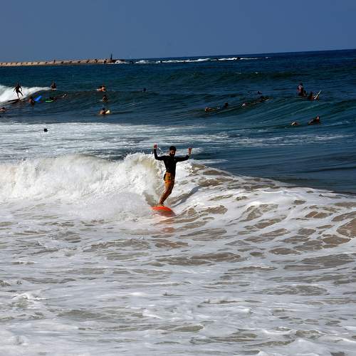 Photo #9942354