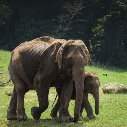 Photo #9942600