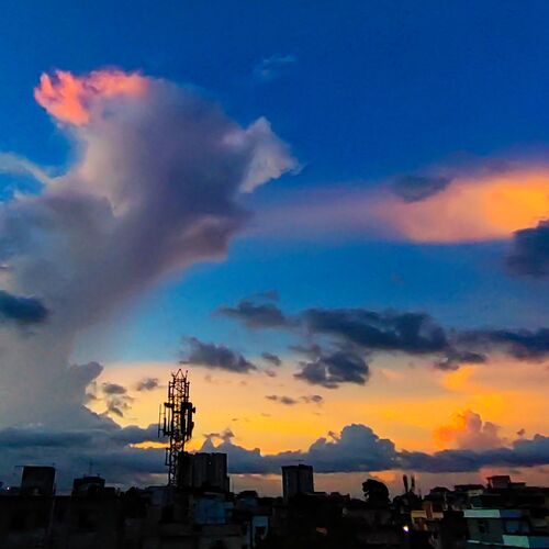 Photo #9942602