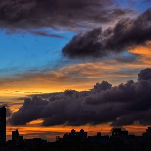 Photo #9942603