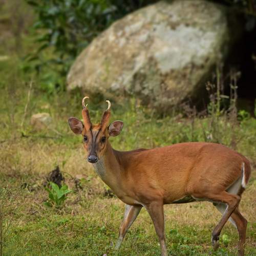 Photo #9942679
