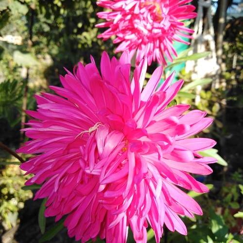 Photo #9942854