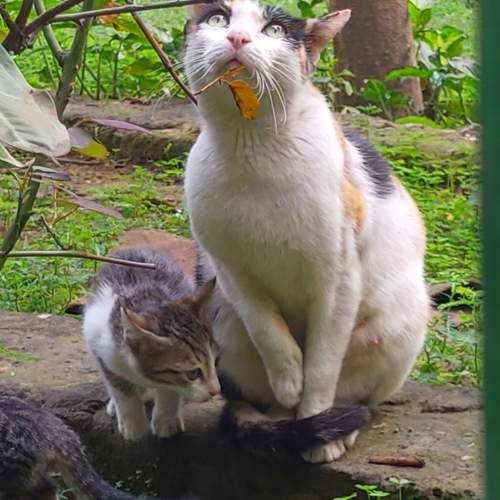 Photo #9942980