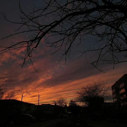 Photo #9943124