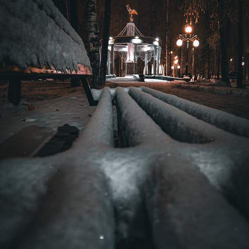 Photo #9943152