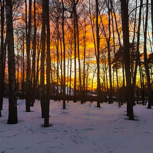Photo #9943167