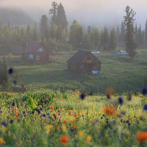 Photo #9943458