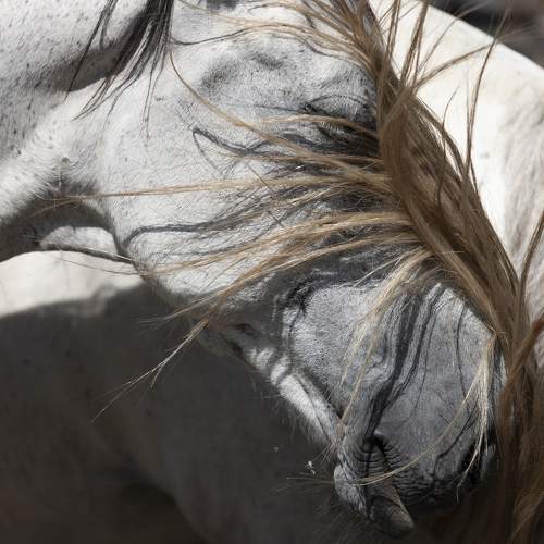 Photo #9943479