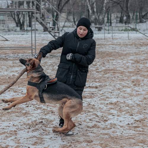 Photo #9943512
