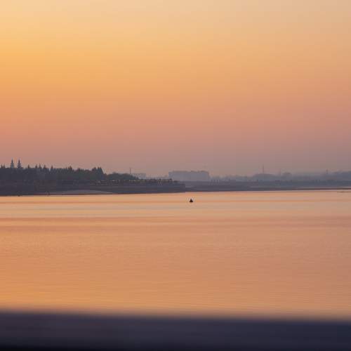 Photo #9943583