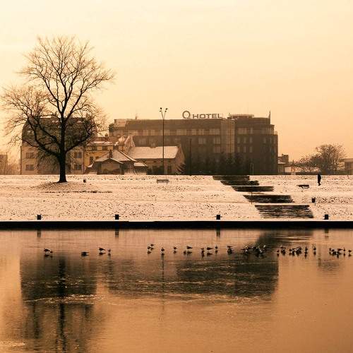 Photo #9943648
