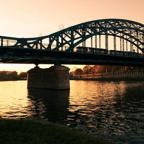 Photo #9943649