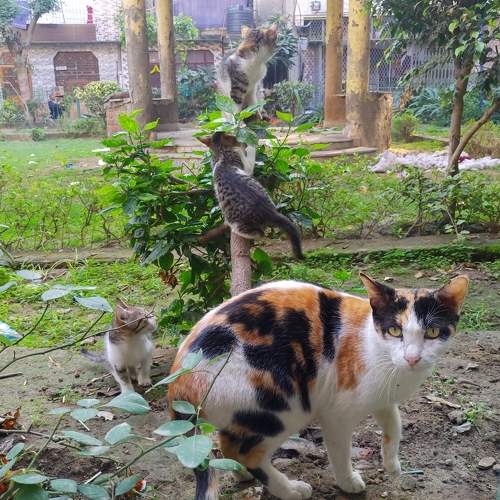 Photo #9944250