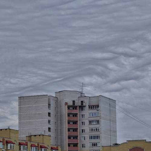 Photo #9944255