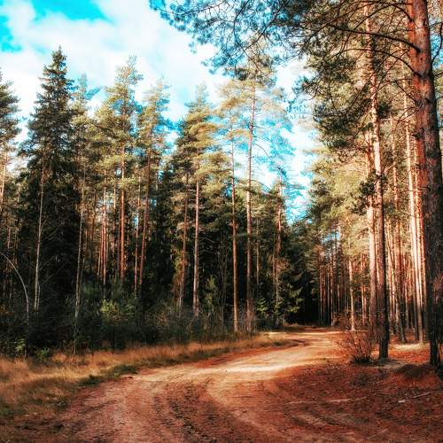 Photo #9944277