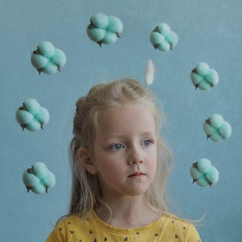 Photo #9944475