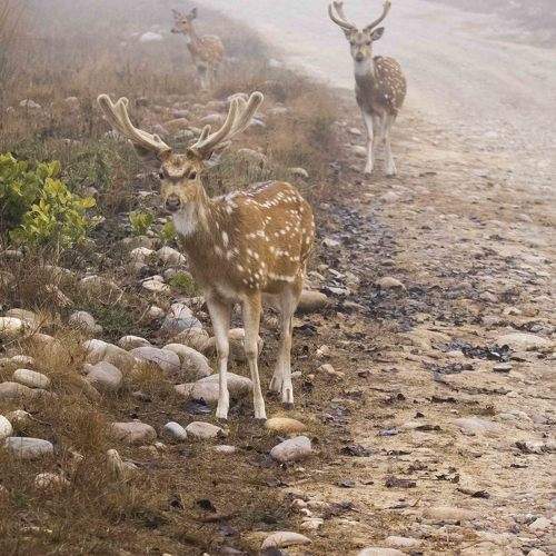 Photo #9944562