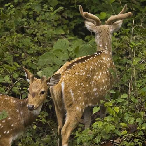 Photo #9944563