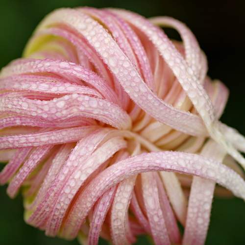 Photo #9944778
