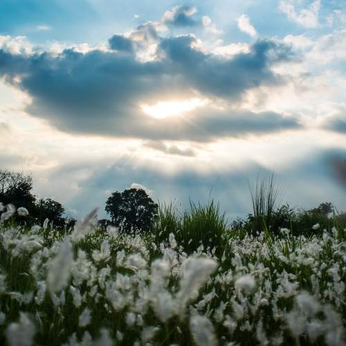 Photo #9944902