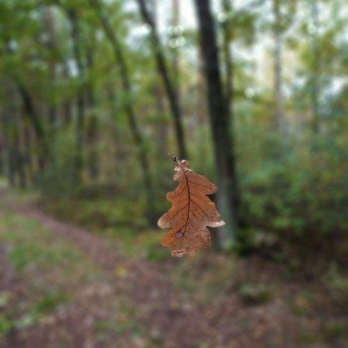Photo #9944977