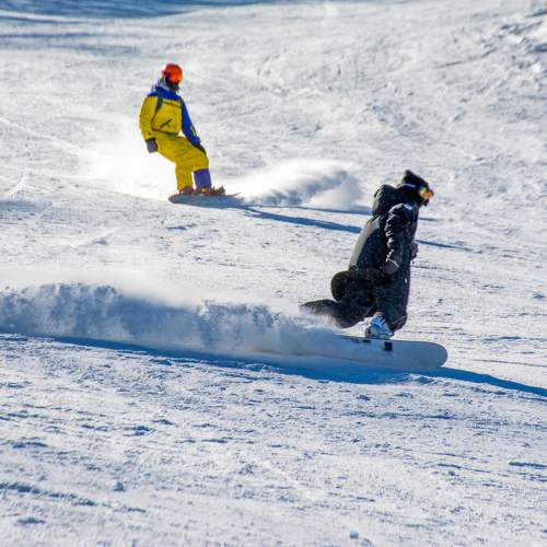 Photo #9945763