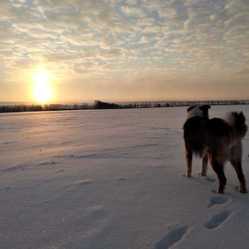 Photo #9945869