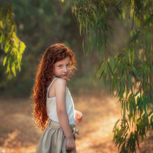 Photo #9946055