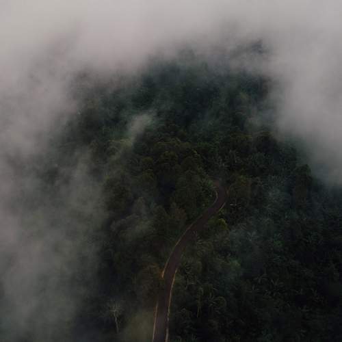 Photo #9946088