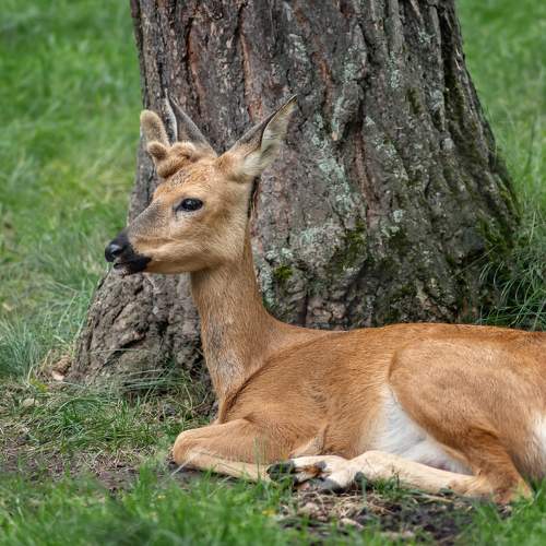 Photo #9946168