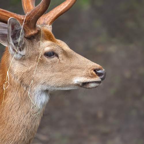 Photo #9946169