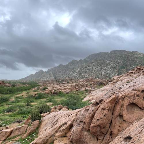 Photo #9946463