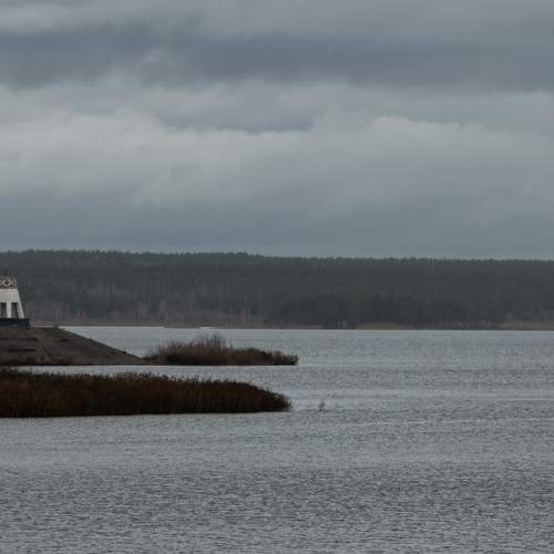 Photo #9946608