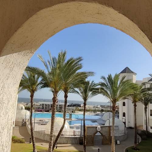 Photo #9946915