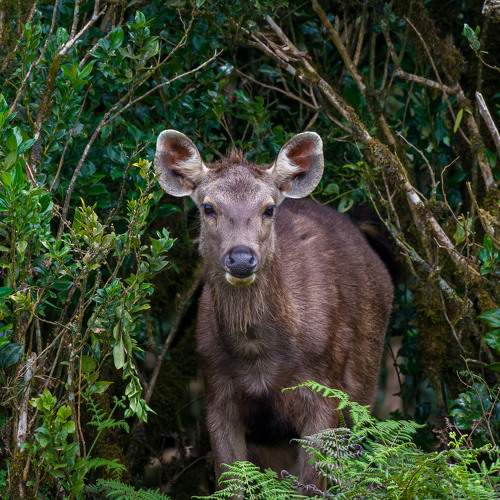 Photo #9947092