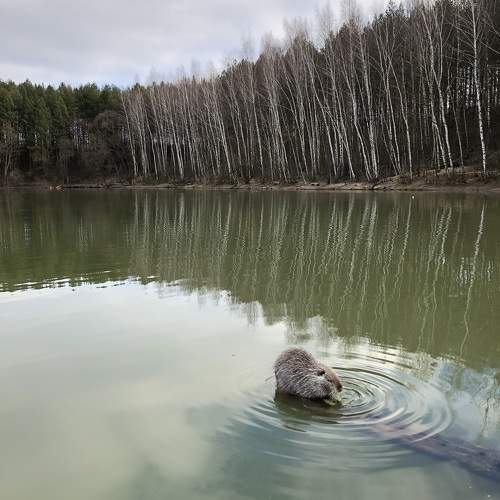 Photo #9947136