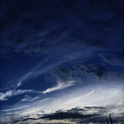 Photo #9947482