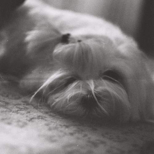Photo #9947647