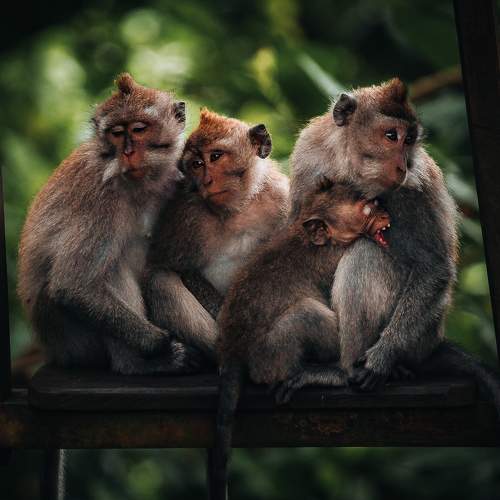 Photo #9948022