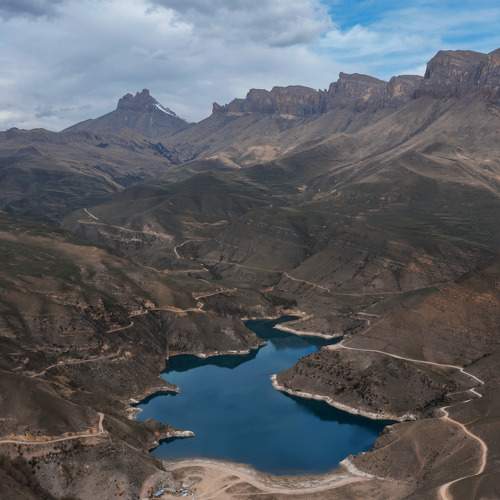 Photo #9948170