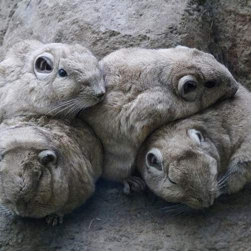 Photo #9948291