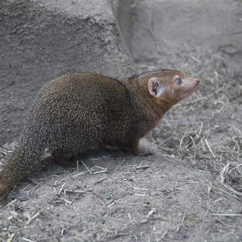 Photo #9948292